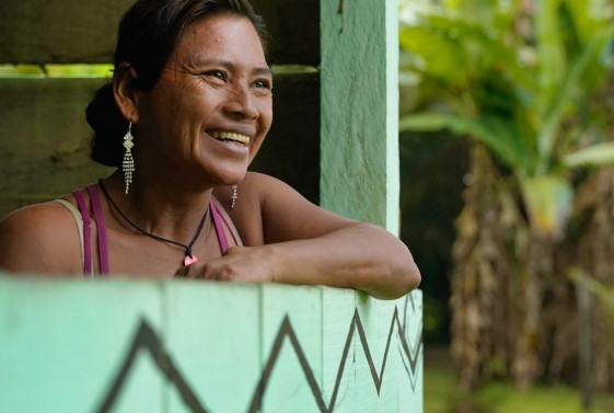 The role, potential, and limits of private adaptation finance