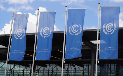 From Bonn to Belém: Elevating Adaptation Finance