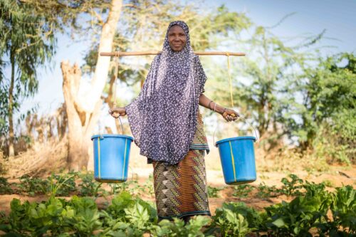 Financing climate adaptation – role of the private sector