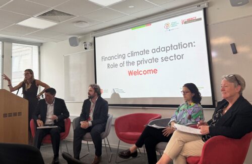 The role of the private sector in financing climate adaptation