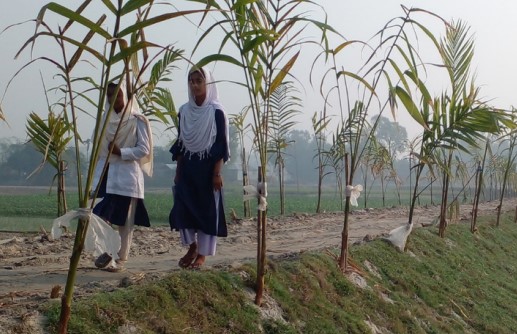 A Fair Share of Climate Finance? An assessment of quantity and quality