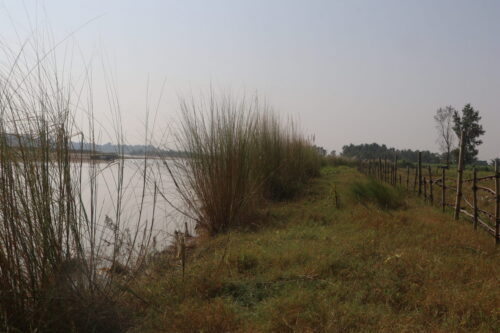 Bio-dykes: A nature-based approach to reducing flood risk in Nepal