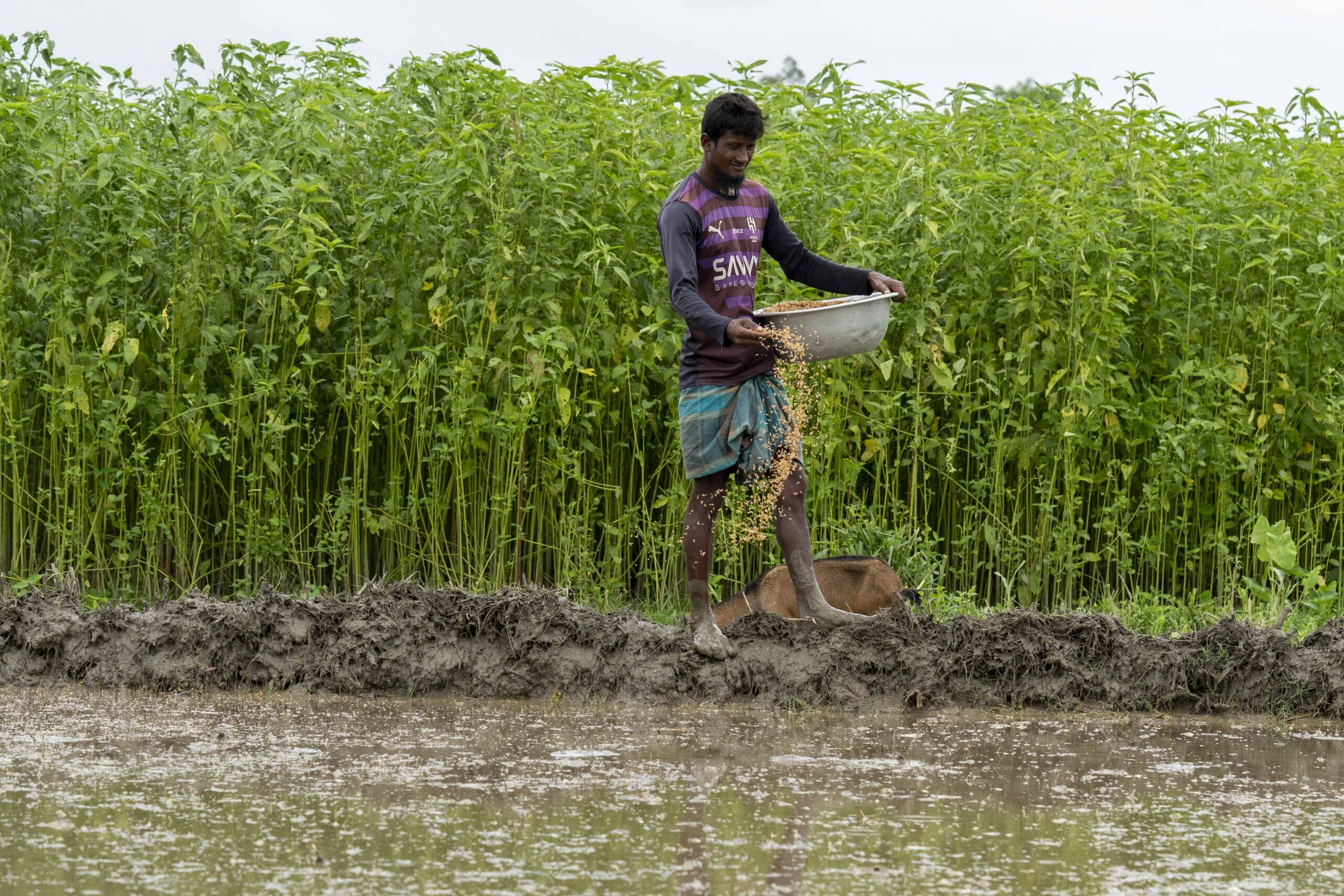 Achieving systems change in Bangladesh