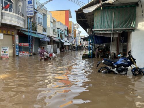 Action to Impact: local insights to system-wide resilience in Vietnam 
