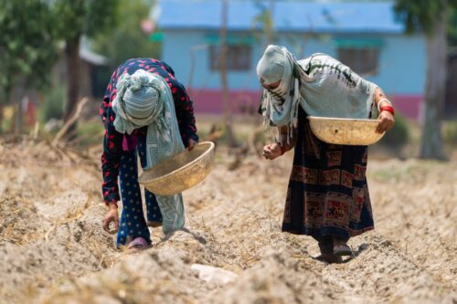 Understanding the global landscape of heat early warning systems